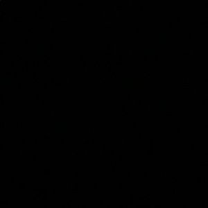 Meet your Posher, Brady